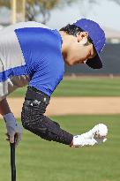 Baseball: MLB spring training