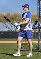 Baseball: MLB spring training