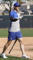 Baseball: MLB spring training