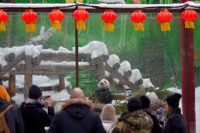 RUSSIA-MOSCOW-CHINESE NEW YEAR-DECORATION