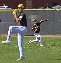 Baseball: MLB spring training