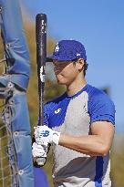 Baseball: MLB spring training