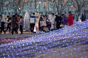 Tourist Attend The First Baima Lake Lantern Fair in Huai 'an, China