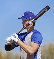 Baseball: MLB spring training