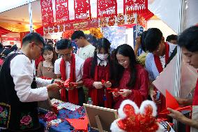 Xinhua Headlines: People worldwide embrace Dragon Year Spring Festival celebration