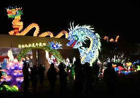 Colored Lantern Display in Jiujiang