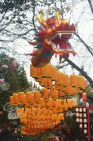 Long Dragon Lantern in Hangzhou