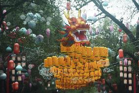 Long Dragon Lantern in Hangzhou