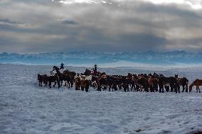 Herdsmen Herd Heavenly Horse on The Plateau in Yili