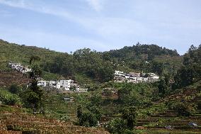 Daily Life In Kodaikanal, India