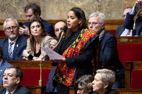 Questions to the government at the National Assembly - Paris