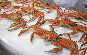 Snow crabs for Japanese imperial family