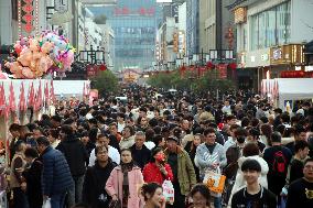 Spring Festival Travel Peak in Suzhou