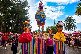 Carnival Block Galo Da Madrugada, In São Paulo