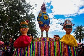 Carnival Block Galo Da Madrugada, In São Paulo