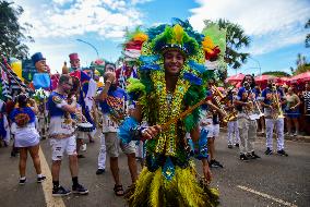 Carnival Block Galo Da Madrugada, In São Paulo