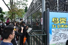 Tourists Visit Various Animal Halls at Nanning Zoo