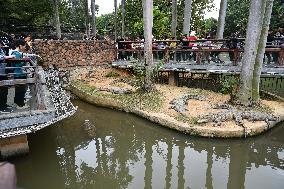 Tourists Visit Various Animal Halls at Nanning Zoo