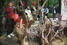 Tourists Visit Various Animal Halls at Nanning Zoo