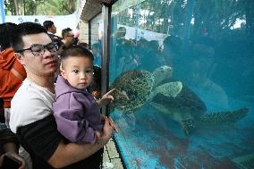 Tourists Visit Various Animal Halls at Nanning Zoo