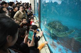 Tourists Visit Various Animal Halls at Nanning Zoo