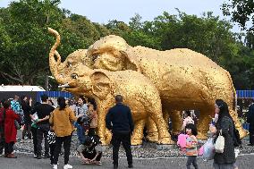 Tourists Visit Various Animal Halls at Nanning Zoo