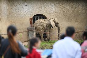 Tourists Visit Various Animal Halls at Nanning Zoo