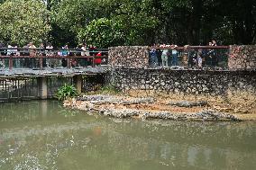 Tourists Visit Various Animal Halls at Nanning Zoo