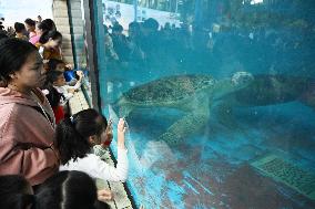 Tourists Visit Various Animal Halls at Nanning Zoo