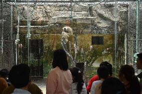 Tourists Visit Various Animal Halls at Nanning Zoo
