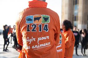 Protest Against Genetically Manipulated Chickens - Paris