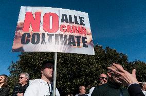 Hundreds Of Italian Farmers Protest Outside Circus Maximus In Rome