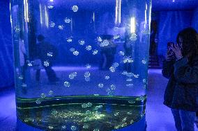 Visitors Watch Jellyfish at Nanning Zoo in Nanning