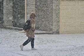 Snowstorm In Toronto, Canada