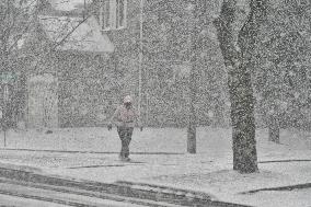 Snowstorm In Toronto, Canada