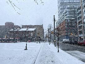 Snowfall In Toronto, Canada