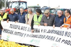 Farmers Protest - Alicante