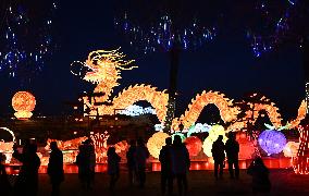 (HenanPixels)CHINA-HENAN-SPRING FESTIVAL-CULTURAL TOURISM (CN)