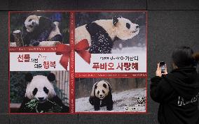 SOUTH KOREA-SEOUL-GIANT PANDA-POSTER