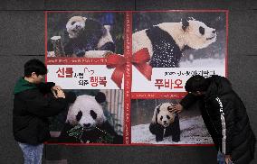 SOUTH KOREA-SEOUL-GIANT PANDA-POSTER