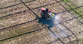 Fertilize Wheat in Suqian