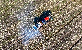 Fertilize Wheat in Suqian