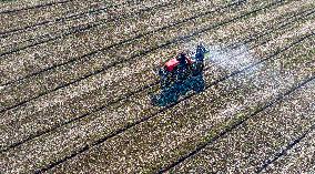Fertilize Wheat in Suqian