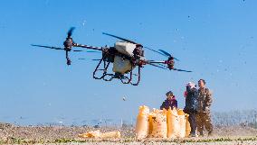 Fertilize Wheat in Suqian