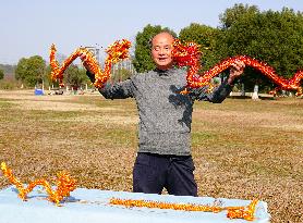 Aluminum Woven Zodiac Dragon Crafts in Yichang
