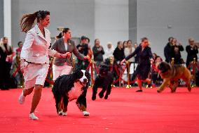 RUSSIA-MOSCOW-DAILY LIFE-DOG SHOW