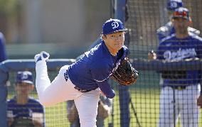 Baseball: MLB spring training