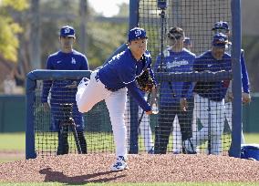 Baseball: MLB spring training