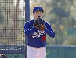 Baseball: MLB spring training