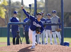 Baseball: MLB spring training